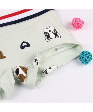 Panties Cotton Cute Cartoon Animal Boyshort 3 Pack Boxer Briefs for Tomboy Trans Lesbian - Pinkpanda - C118ZLUUAYW