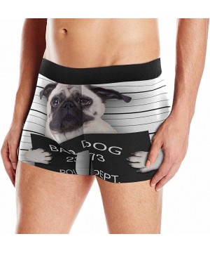 Boxer Briefs Mens Boxer Briefs Underwear Funny Cute Pug Holding A Placard While A Mugshot is Taken - Multi 1 - C818DK4URWE