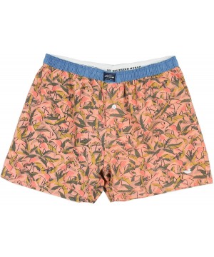 Boxers Hanover Boxer - Flamingos - Coral & Lime - CV1876D83Y2