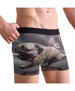 Boxer Briefs Animal Dog Funny Pug Boxer Briefs for Men Boy Youth Soft Comfort Underwear Polyester Spandex - CJ18N6AI2NI