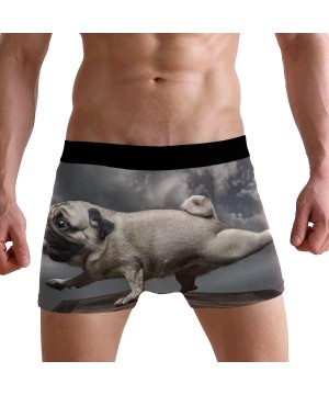 Boxer Briefs Animal Dog Funny Pug Boxer Briefs for Men Boy Youth Soft Comfort Underwear Polyester Spandex - CJ18N6AI2NI