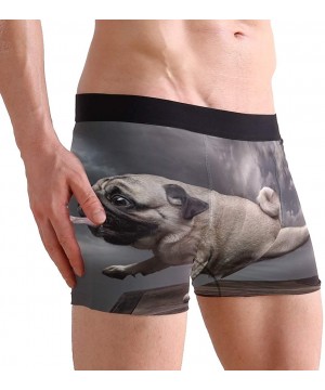 Boxer Briefs Animal Dog Funny Pug Boxer Briefs for Men Boy Youth Soft Comfort Underwear Polyester Spandex - CJ18N6AI2NI