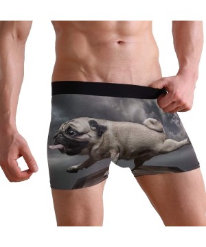 Boxer Briefs Animal Dog Funny Pug Boxer Briefs for Men Boy Youth Soft Comfort Underwear Polyester Spandex - CJ18N6AI2NI