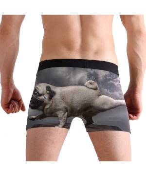 Boxer Briefs Animal Dog Funny Pug Boxer Briefs for Men Boy Youth Soft Comfort Underwear Polyester Spandex - CJ18N6AI2NI