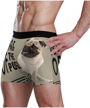 Boxer Briefs Men Boxer Briefs Polyester Underwear Men 1 Pack Boxer Briefs with Dog Pattern S - As Picture - CB18UD7GUSQ