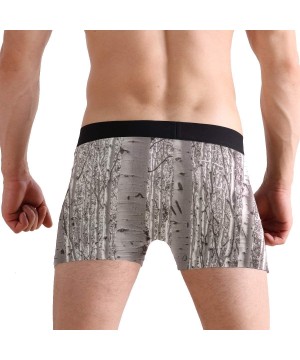 Boxer Briefs Men's Sexy Boxer Briefs Beauty Mallard Ducks Pool Print Stretch Bulge Pouch Underpants Underwear - Birch Tree - ...