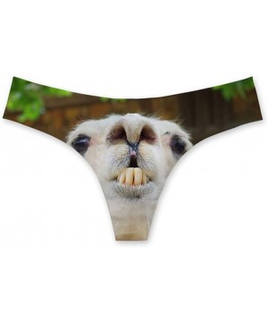 Panties Sexy 3D Animal Cat Dog Printed G String Panties for Women Underwear - Alpaca Printed-3 - CT18SC28ZY9