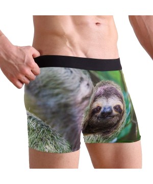 Boxer Briefs Mens Breathable Boxer Briefs Male Classic Fit Underwear S M L XL - Sloth - C718MHYS4Q0