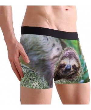 Boxer Briefs Mens Breathable Boxer Briefs Male Classic Fit Underwear S M L XL - Sloth - C718MHYS4Q0