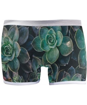 Panties Boyshort Panties Women's St Patrick's Day Shamrock Soft Underwear Briefs - Succulent Plants Floral - CA18SXII5CE