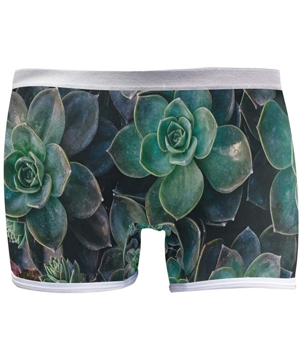 Panties Boyshort Panties Women's St Patrick's Day Shamrock Soft Underwear Briefs - Succulent Plants Floral - CA18SXII5CE