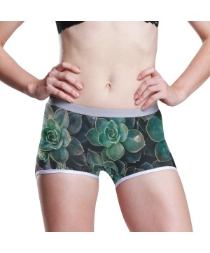 Panties Boyshort Panties Women's St Patrick's Day Shamrock Soft Underwear Briefs - Succulent Plants Floral - CA18SXII5CE