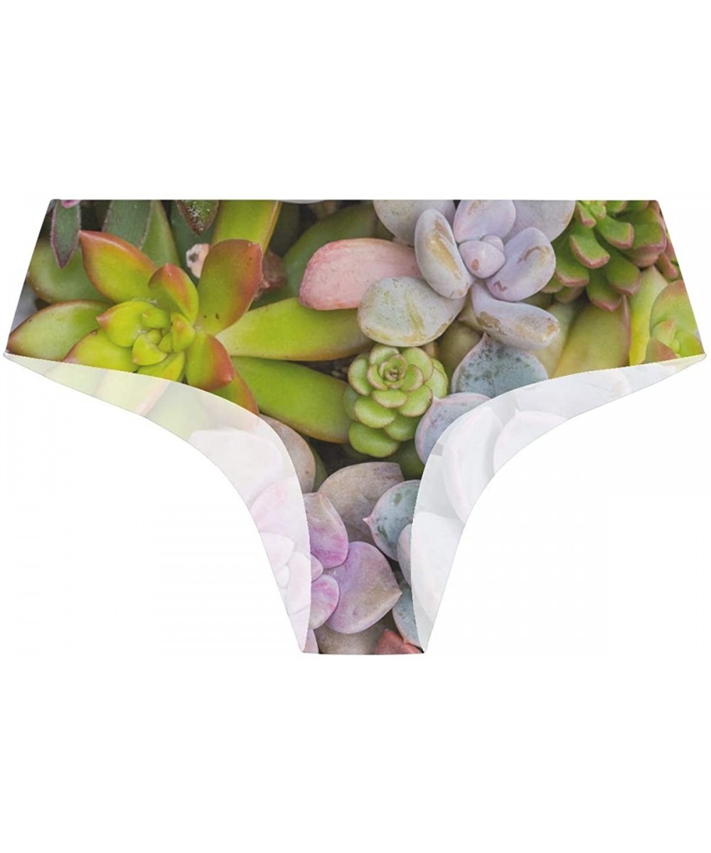 Panties Women Funny Briefs Neon Splatter Soft Invisible Seamless Underwear Panties - Miniature Succulent Plants - CN18AD372GA