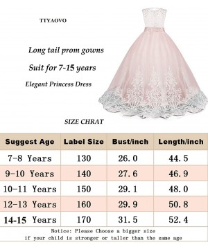 Slips Girls Embroidery Princess Dress Wedding Birthday Party Long Tail Prom Gowns - A-purple - CF18W796SXQ