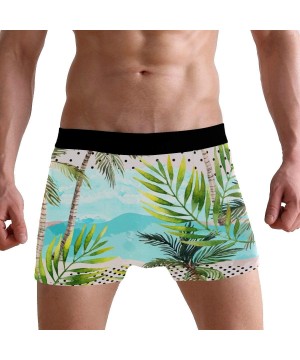 Boxer Briefs Palm Tree Men's Boxer Briefs Soft Underpants Shorts S 2010454 - 2010464 - C6197M3TH8K